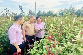 Hỗ trợ đắc lực cho người dân&nbsp;phát triển sản xuất, nâng cao thu nhập
