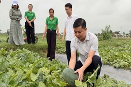 Vai trò của cấp ủy trong nâng cao năng lực lãnh đạo, sức chiến đấu của chi bộ