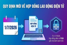 Cấp mã định danh hợp đồng lao động điện tử