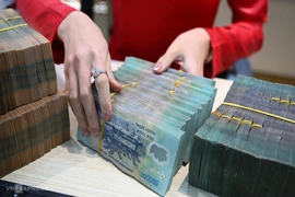 Ngân hàng Nhà nước yêu cầu kiểm tra các ngân hàng tăng lãi suất trái chỉ đạo
