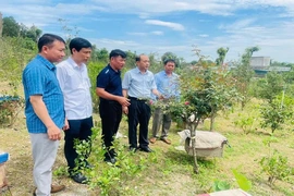 Nông dân thi đua sản xuất, kinh doanh giỏi