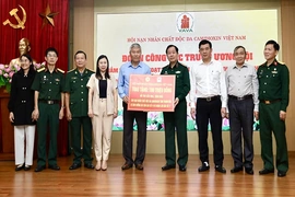 Những nhịp cầu nhân ái đi qua nỗi đau da cam