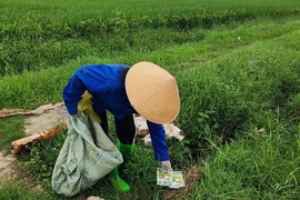 Bảo vệ môi trường từ việc xử lý&nbsp;vỏ thuốc trừ sâu trên đồng ruộng