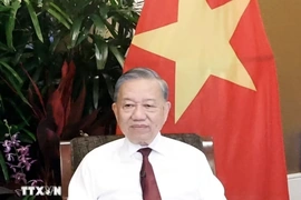 Tổng Bí thư, Chủ tịch nước Tô Lâm khẳng định Việt Nam duy trì quan hệ tốt với các nước lớn