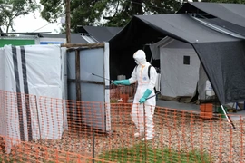 Ban hành Hướng dẫn chẩn đoán và điều trị bệnh do virus Ebola năm 2026