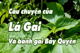[REVIEW OCOP] Câu chuyện của lá Gai