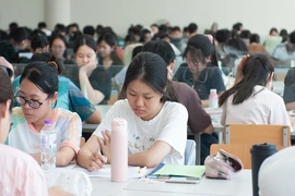 Mùa hè ở thư viện