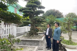 Quảng Ngọc đưa Nghị quyết Đại hội Đảng bộ xã vào cuộc sống