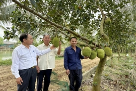 Quan tâm, chăm sóc và phát huy vai trò người cao tuổi