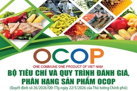 [Infographics] Bộ tiêu chí và quy trình đánh giá, phân hạng sản phẩm OCOP