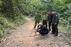 Tăng cường quản lý, bảo vệ các loài động vật hoang dã, nguồn lợi thủy sản