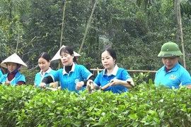 Nghe hội viên nói, nói hội viên hiểu, làm hội viên tin