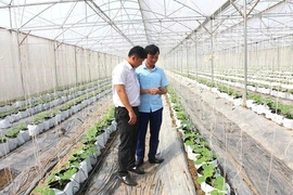 Chú trọng nâng cao kiến thức,&nbsp;kỹ năng số cho thành viên HTX