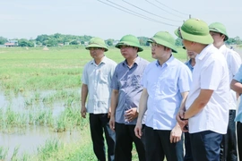 Đẩy nhanh tiến độ sản xuất vụ Thu Mùa, bảo đảm gieo cấy tối đa diện tích