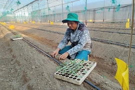 Nông dân trẻ dám nghĩ, dám làm