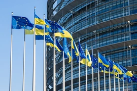 Hungary đặt điều kiện đối với tiến trình gia nhập Liên minh châu Âu của Ukraine