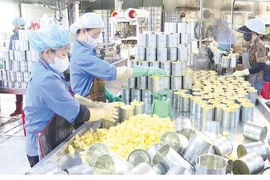 Truy xuất nguồn gốc -&nbsp;“tấm vé thông hành” vào các thị trường lớn