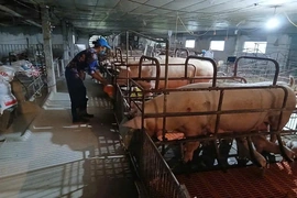 Vĩnh Lộc nỗ lực cải thiện&nbsp;môi trường khu vực chăn nuôi