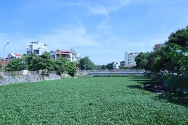 “Chìa khóa” tháo gỡ “điểm nghẽn”, khơi thông nguồn lực (Bài 1): Tồn đọng đất đai - Muôn vẻ trên thực tiễn