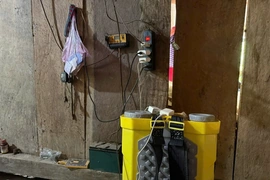 Mong điện về bản