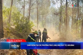Bản tin Thời sự tối 24/6/2026:&nbsp;Cháy rừng tại các phường Trúc Lâm, Đào Duy Từ, Hải Bình