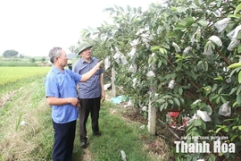 Từ nghị quyết đến động lực phát triển