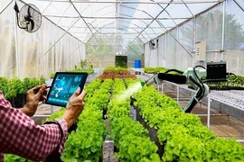 Ban hành quy chế quản lý và sử dụng thông tin, dữ liệu nông nghiệp và môi trường