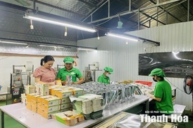 Xây dựng sản phẩm OCOP để thúc đẩy kinh tế tập thể