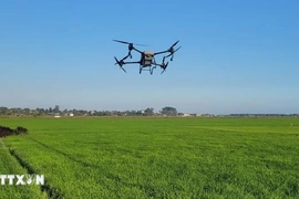FAO lần đầu tiên tổ chức hội nghị toàn cầu về nông nghiệp thông minh