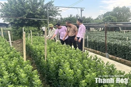 Điểm tựa phát triển kinh tế bền vững