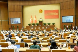 Sơ kết 1 năm vận hành mô hình tổ chức tổng thể của hệ thống chính trị, mô hình chính quyền 3 cấp