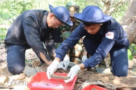 Tập trung cao nhất cho nhiệm vụ tìm kiếm và xác định danh tính hài cốt liệt sỹ