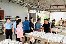 Hội LHPN xã Ngọc Liên giúp hội viên phát triển kinh tế