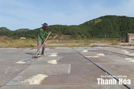 Sinh ra từ nắng, lấp lánh giữa đời