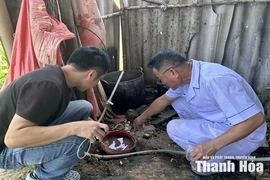 Chủ động phòng, chống dịch bệnh mùa mưa bão