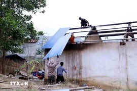Khẩn trương xóa nhà tạm cho con đẻ người hoạt động kháng chiến nhiễm chất độc hóa học