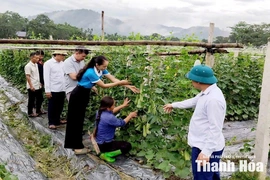 Thay đổi “nếp nghĩ, cách làm”&nbsp;xóa bỏ định kiến giới