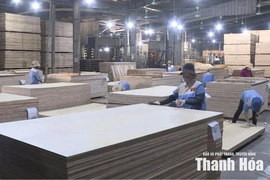 Doanh nghiệp chủ động ứng phó&nbsp;với phòng vệ thương mại