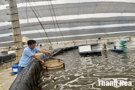 Ứng dụng công nghệ cao&nbsp;vào nuôi trồng thủy sản