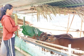 Tam Lư hỗ trợ sinh kế giúp người dân vươn lên thoát nghèo