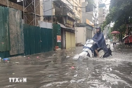 Thời tiết ngày 11/7: Khu vực Bắc Bộ và Trung Bộ mưa to, biển động mạnh