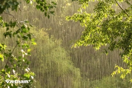 Thời tiết ngày 9/7: Vùng núi, trung du Bắc Bộ và Quảng Ninh có mưa to