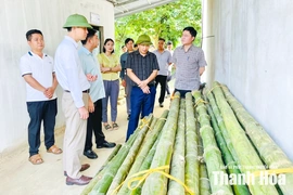 Kiểm tra công tác phòng, chống thiên tai tại 5 xã