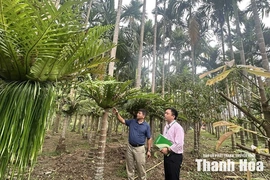 Điểm tựa cho hành trình&nbsp;giảm nghèo bền vững