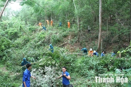 Hành lang an toàn điện&nbsp;vẫn tiềm ẩn nhiều rủi ro