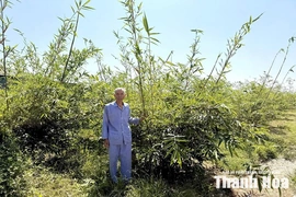 Ông Lê Khắc Phú - người cao tuổi gương mẫu, làm kinh tế giỏi