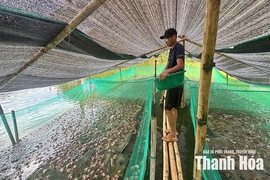 Thắp lửa khát vọng&nbsp;làm giàu của thanh niên