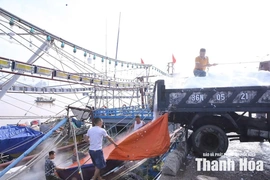 Khai thác hải sản bền vững vì thế hệ sau