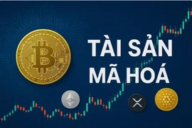 Vi phạm liên quan đến tài sản mã hóa có thể bị phạt tới 200 triệu đồng