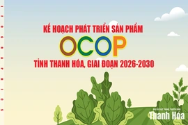 Kế hoạch phát triển sản phẩm OCOP tỉnh thanh hóa, giai đoạn 2026-2030